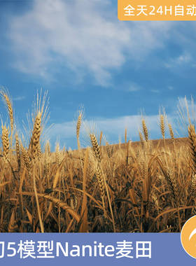 UE5虚幻素材模型资源资产Nanite麦田地小麦绿色农作物粮食
