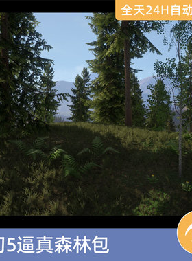 UE5虚幻5素材模型场景资产环境逼真森林包森林树木植被杂草地形