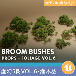 UE5虚幻素材模型资源资产树VOL.6-扫帚灌木丛植物绿植景观树木