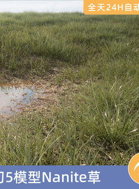 UE5虚幻素材模型资源资产Nanite草VOL.1植物子绿枯叶草坪