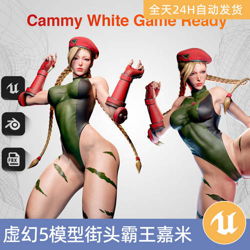 UE5虚幻5素材模型资源资产风格化人物角色游戏街头霸王嘉米NSFW