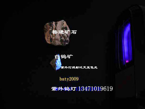 紫外探矿灯*白钨探矿R灯*白钨灯*钨矿探矿灯*ZWD-8型 大功率