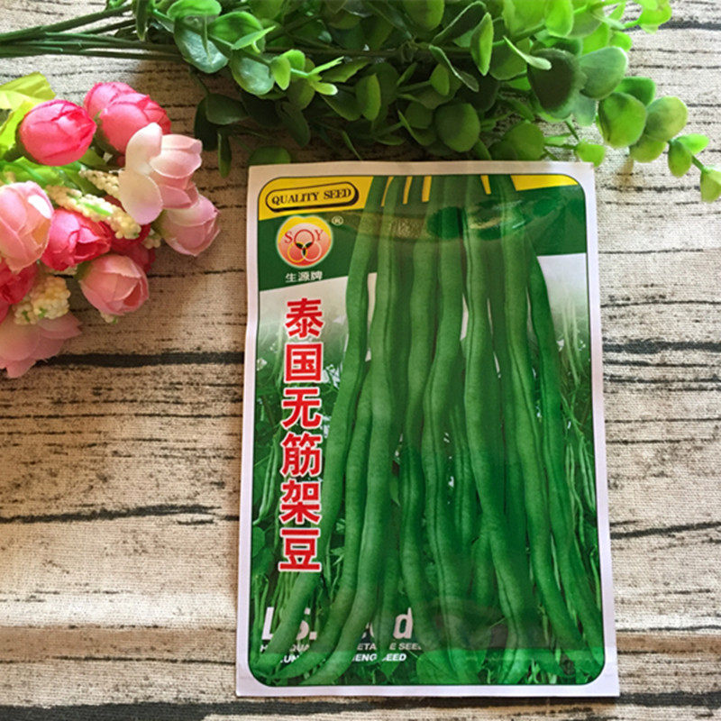 无筋豆蔬菜种子生源云南菜籽架豆