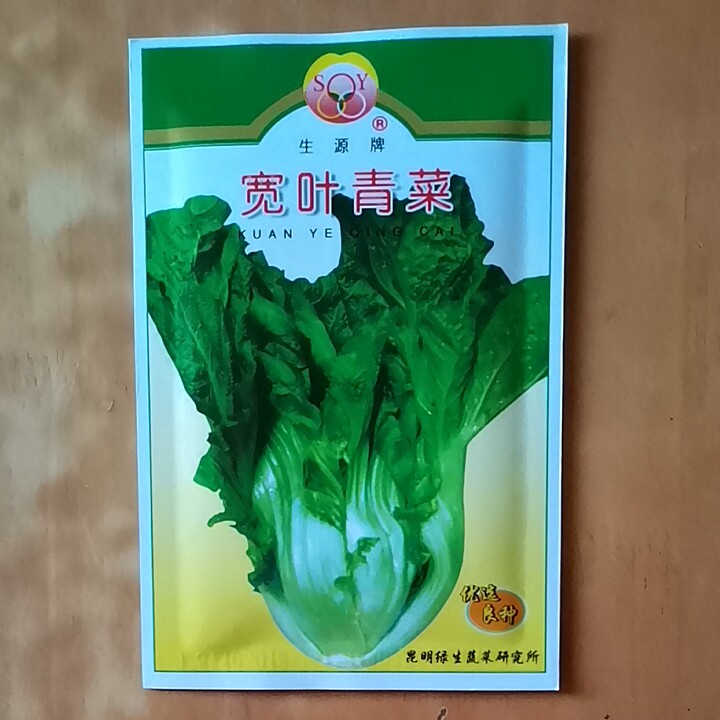 云南蔬菜种子包邮宽叶青菜籽20蔬菜种子/种苗