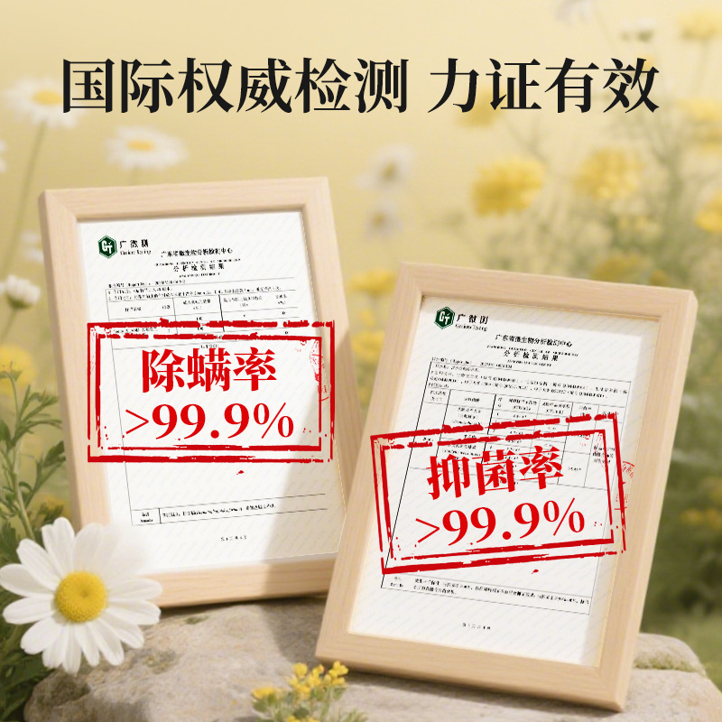 TEDDY ISLAND宠物沐浴露抑菌除螨狗狗猫咪沐浴露比熊洗护香波