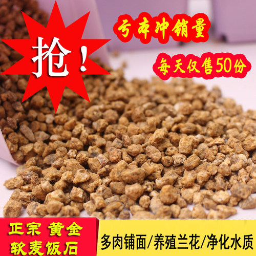 韩国黄金麦饭石多肉营养土包邮