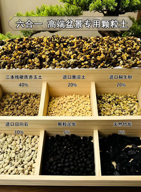 赤玉土鹿沼土杂木盆景松柏颗粒土