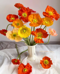 2单中通3单顺丰 「虞美人」10支 小众花材