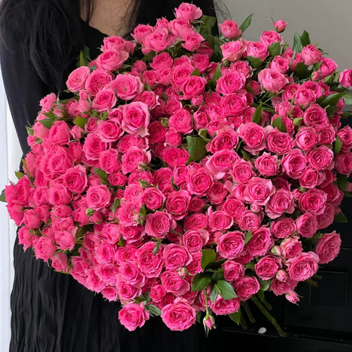 多头玫瑰「苏菲宝贝」10支（2件包邮）