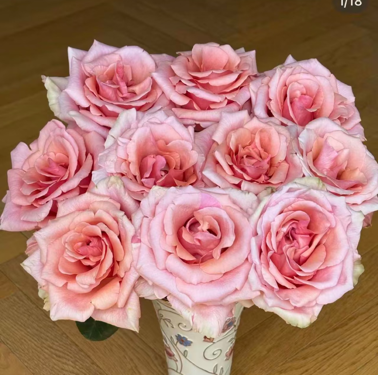 朵拉玫瑰「娜美」10支（1单中通2单顺丰）