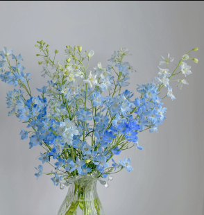 「小飞燕」多色可选 0度地区拍保温·否则冻坏不售后