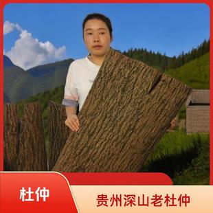 贵州深山老杜仲去粗皮厚肉拉丝绵密泡酒煲汤泡水料杜仲中药材正品