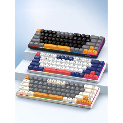 68-Key Mini Mechanical Usb Wired Gaming Keyboard, RGB Backli