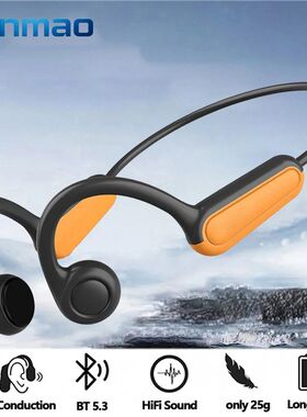 B8 True Bone Conduction Earphones Bluetooth 5.3 Sports Wirel
