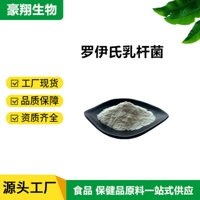 罗伊氏乳杆菌100亿 200亿cfu/g多规格 罗伊氏乳杆菌冻干粉100克袋