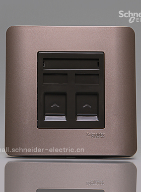 施耐德E8000ZENcelo轻点格调棕色 双网络插座两接口 二位电脑插座