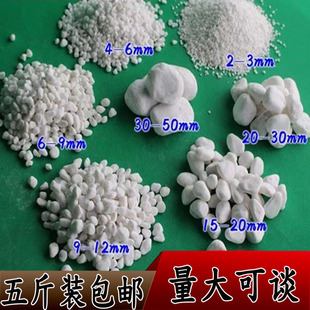 汉白玉 白石子 园艺花盆花瓶铺面鱼缸工程装饰造景用 白石头 包邮