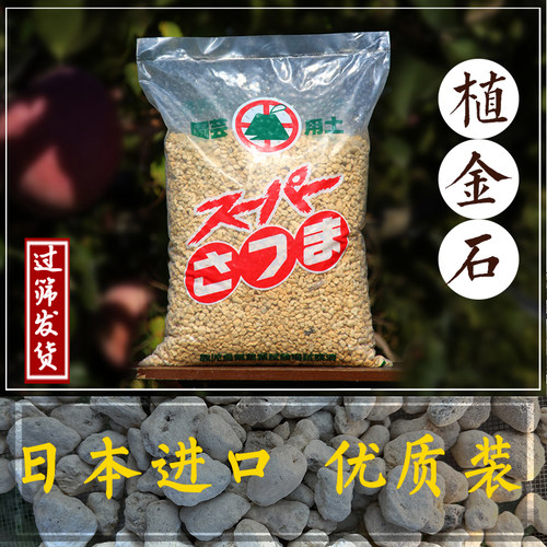 萨摩土植金石进口铺面石兰花植料