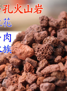 多肉颗粒营养土火山岩五斤包邮