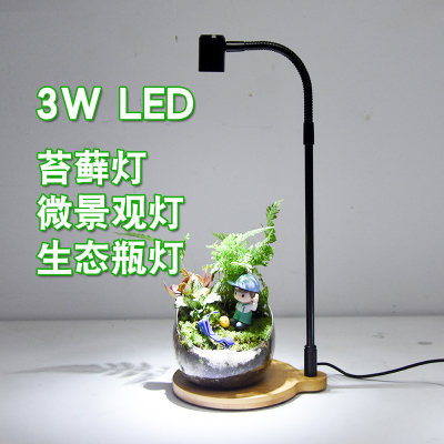 植物补光灯LED多肉桌面绿植灯