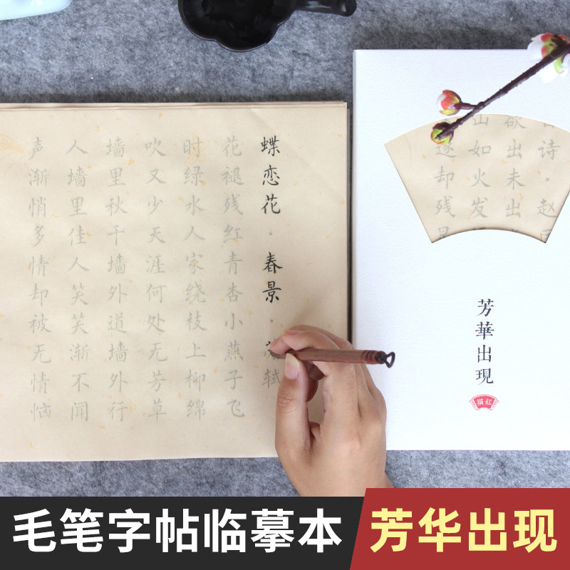 毛笔字帖临摹本描红小楷簪花初学入门套装手抄唐诗宋词抄经练