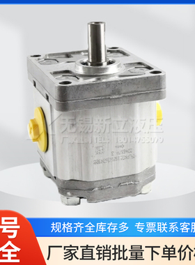意大利BONDIOLI齿轮泵HPLPA211SMNG6G4BHY B00