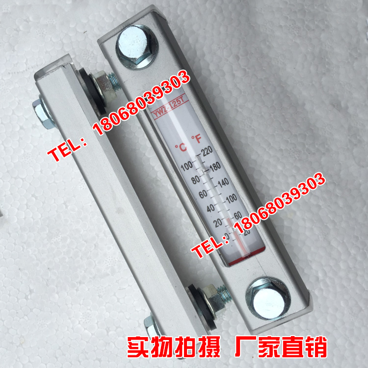 液位计YWZ-80TYWZ-100T