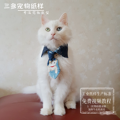 猫狗通用领带图纸有教程视频