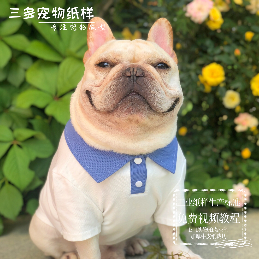 宠物狗服装纸样大中小型犬衣服图纸两脚t恤polo模版柯基衣服样版