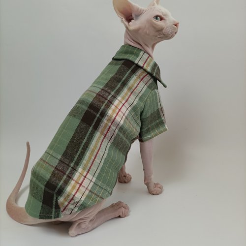 模版手工裁剪纸板送缝制视频猫咪