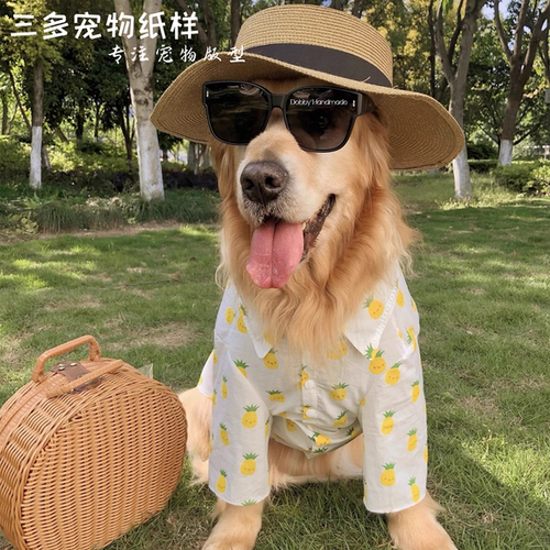 三多宠物纸样衬衫模板