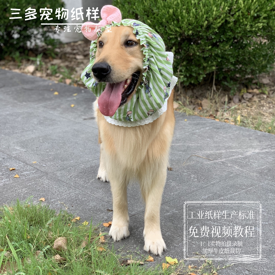 宠物猫狗头套纸样吃饭头套发带图纸束发箍头饰防舔毛定制样版