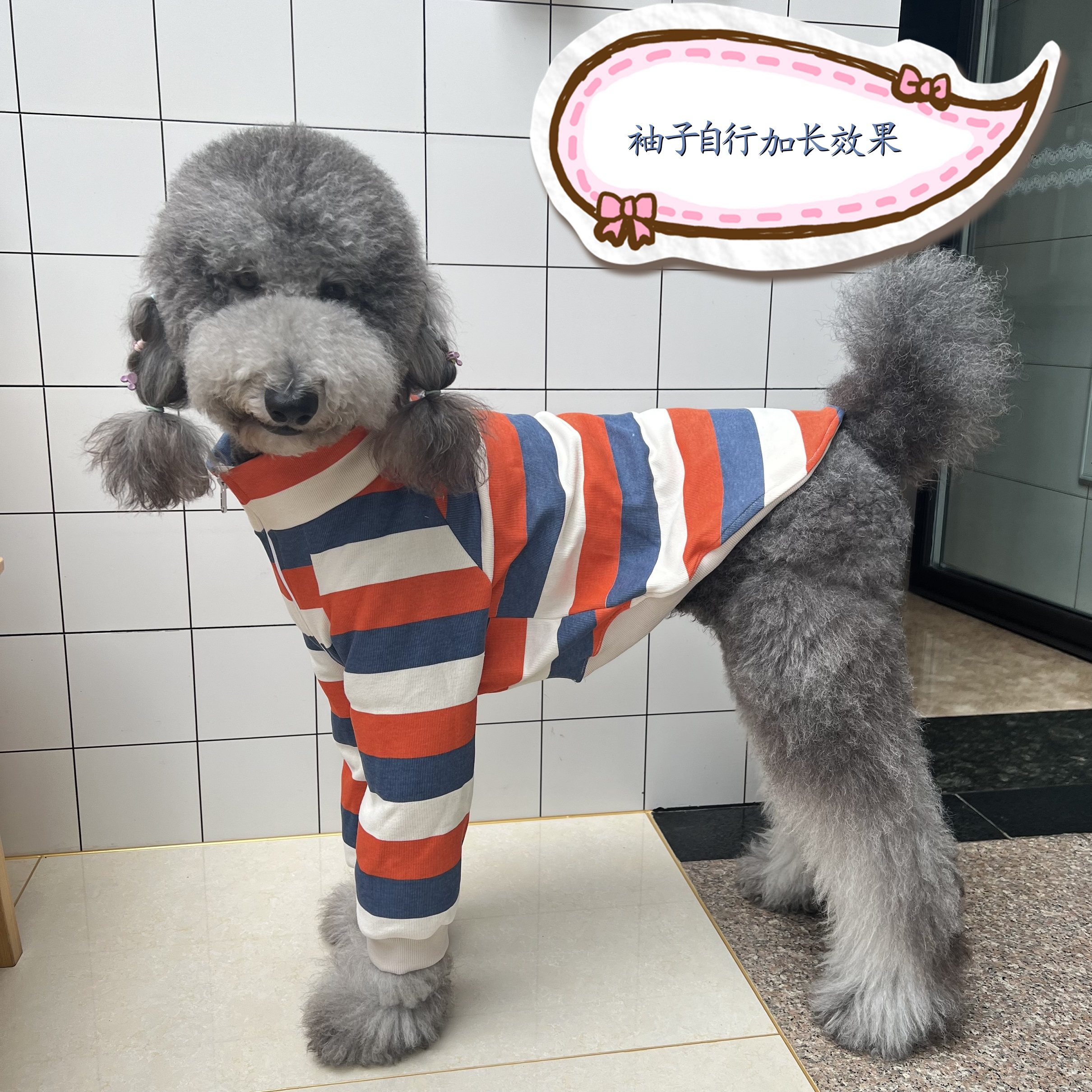 宠物狗狗拉链衫纸样泰迪金毛比熊开衫图纸手工缝制两脚衣diy模板