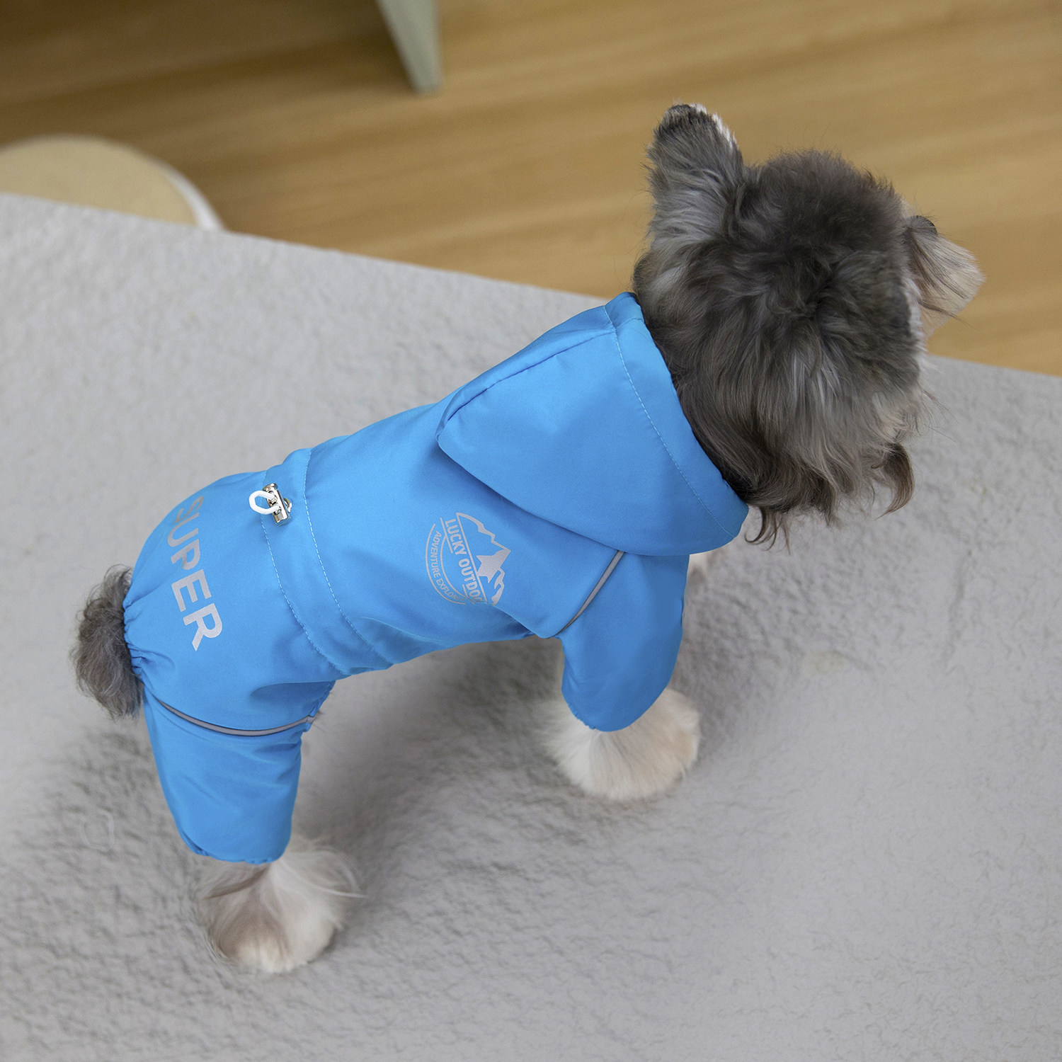 狗狗连帽秋冬小型犬防风登山四脚衣宠物运动比熊泰迪小鹿犬扣子幼