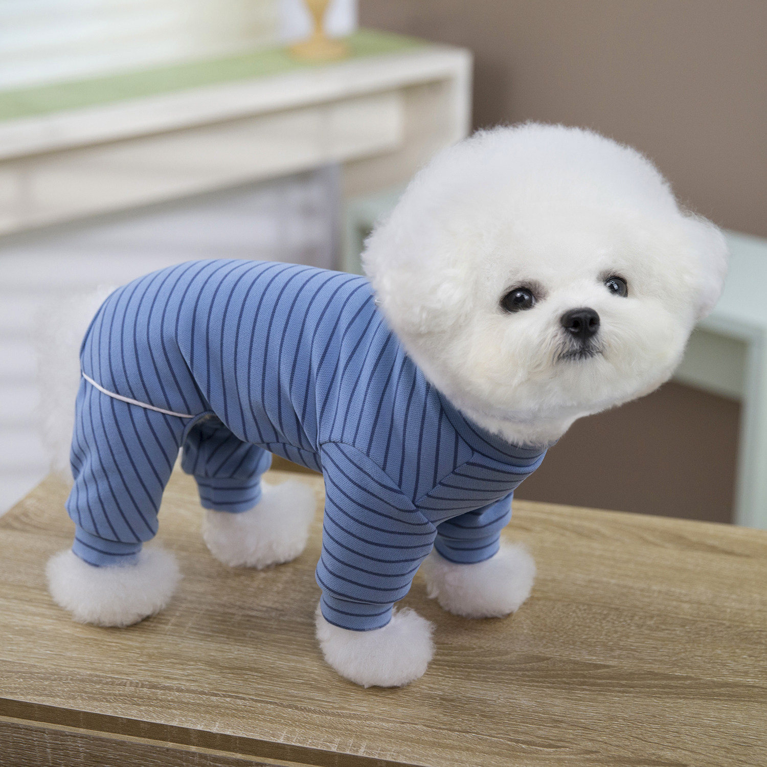 狗狗衣服四脚秋冬条纹长裤弹力好穿宠物服装套头比熊小鹿犬泰迪幼