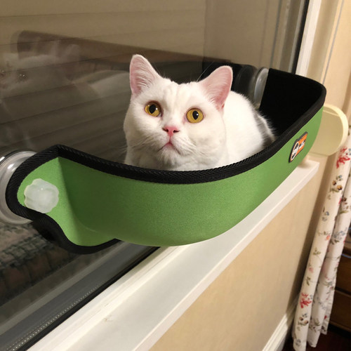 晒太阳猫窗台睡眠窝猫窝车载猫窝