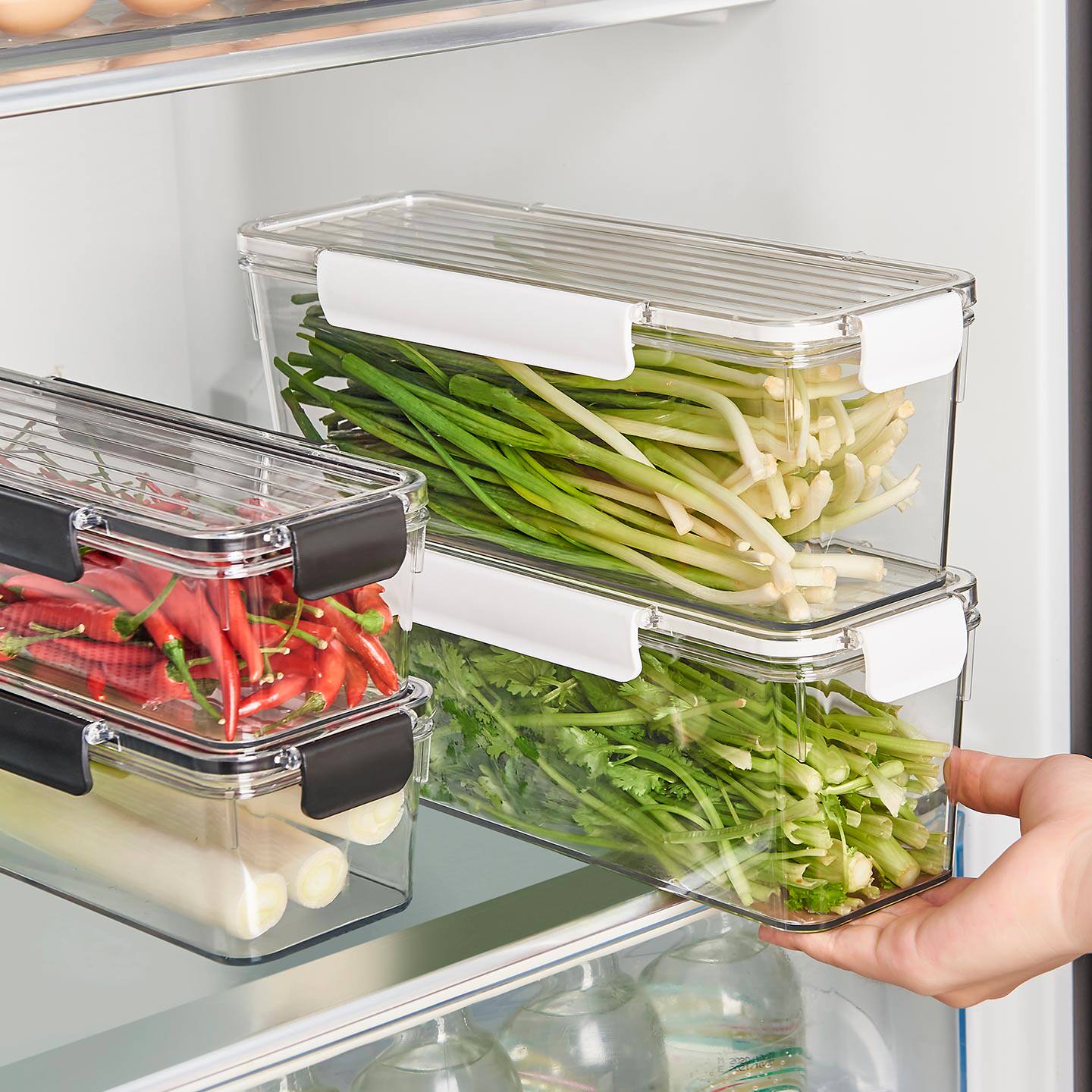 香菜大葱小葱保鲜盒冰箱收纳芫荽整根保鲜神器食品级面条鸡蛋备菜