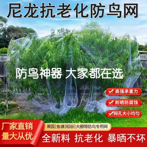 防鸟网果园樱桃嘉宝枇杷梨树