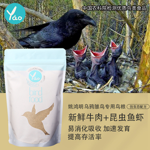 姚鸿明手工乌鸦雏鸟粮 幼鸟干粉手喂软食鸦科粮 红嘴白劲小嘴大嘴