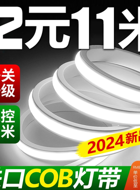 cob自粘灯带LED超亮高压220v户外防水家用客厅吊顶工程硅胶软灯条