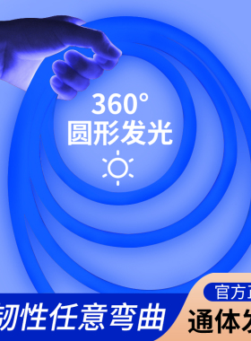 圆形LED灯带蓝光220V户外防水霓虹灯条超亮蓝色外墙氛围线条灯带