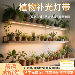 绿植物补光生长灯带仿太阳光LED220V多肉专用上色蔬菜育苗高光谱
