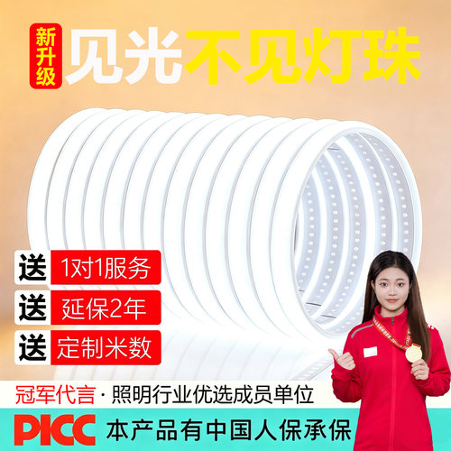 超亮白光照明灯带客厅吊顶专用灯