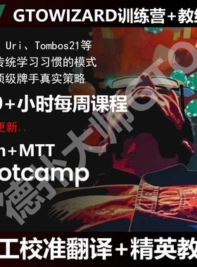 GTOWIZARD独享版教练课拼车BOOT CAMP训练营cash MTT德扑扑克课程