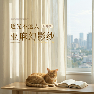 氛围感幻影纱窗帘纱帘透光不透人2026新款阳台卧室飘窗户客厅窗纱