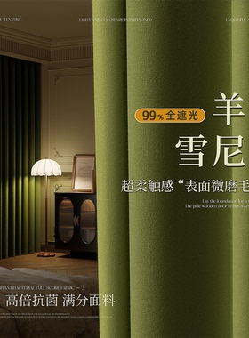 法式复古窗帘遮光2024新款卧室高级感隔音客厅定制绿色加厚雪尼尔