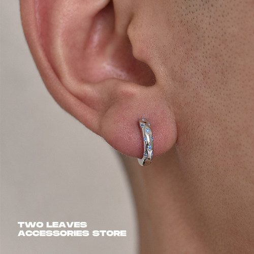 TWOLEAVESS925纯银蓝色钻耳环