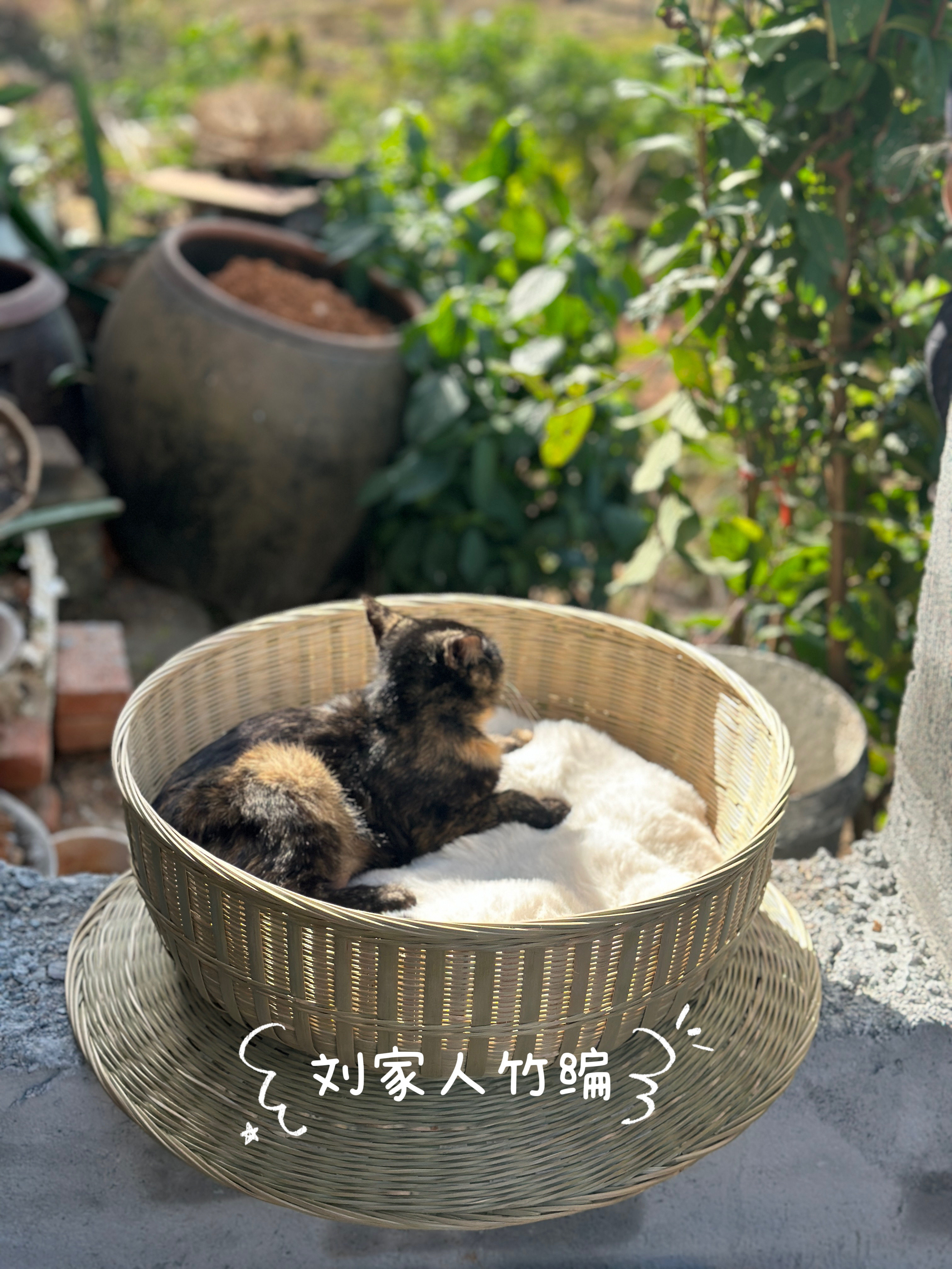 刘家人竹编手工编织大号竹编猫窝凉窝四季通用平口咖啡杯猫窝