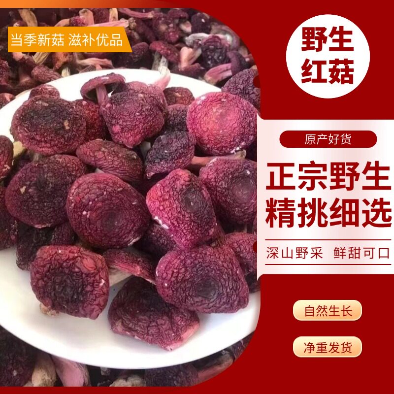 福建野生红菇特产干货红椎菇月子菇500G大红菌无硫煲汤滋补红菇