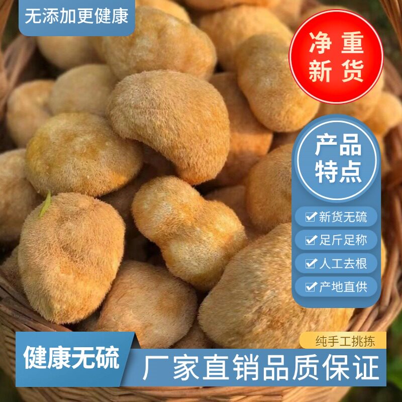 古田特产猴头菇干货无硫食用菌菇